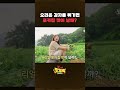 🥔오리온 감자밭에서 가져온 감자로 포카칩 만들기🥔 #shorts  #스브스뉴스 #갓나온맛도리