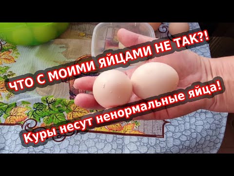 Куриные яйца с дефектом - опасно или нет?