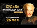 Матрица судьбы. Интуиция или самообман?! судьба или свобода воли?!