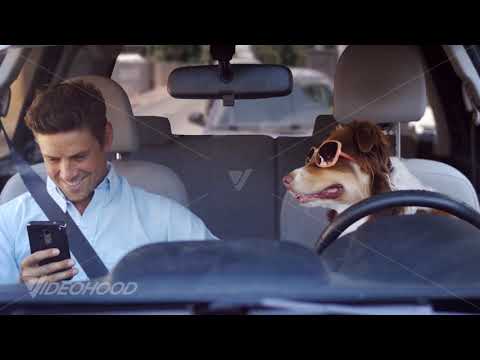 Open Zoomed Related Entry Parking Bender   ecommerce