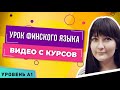 Запись урока финского языка Лингваконтакт | Уровень А1 | Финский для начинающих | Обучение финскому