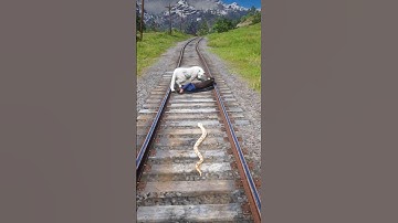 Simulate Survival Skills vid620 #shorts #viral #viralvideo