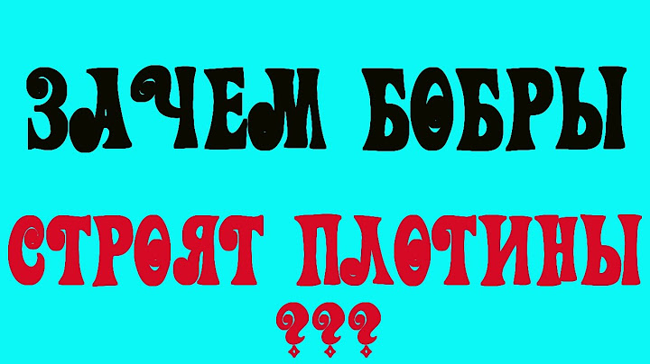 Зачем бобры строят плотины? Вопрос про бобров