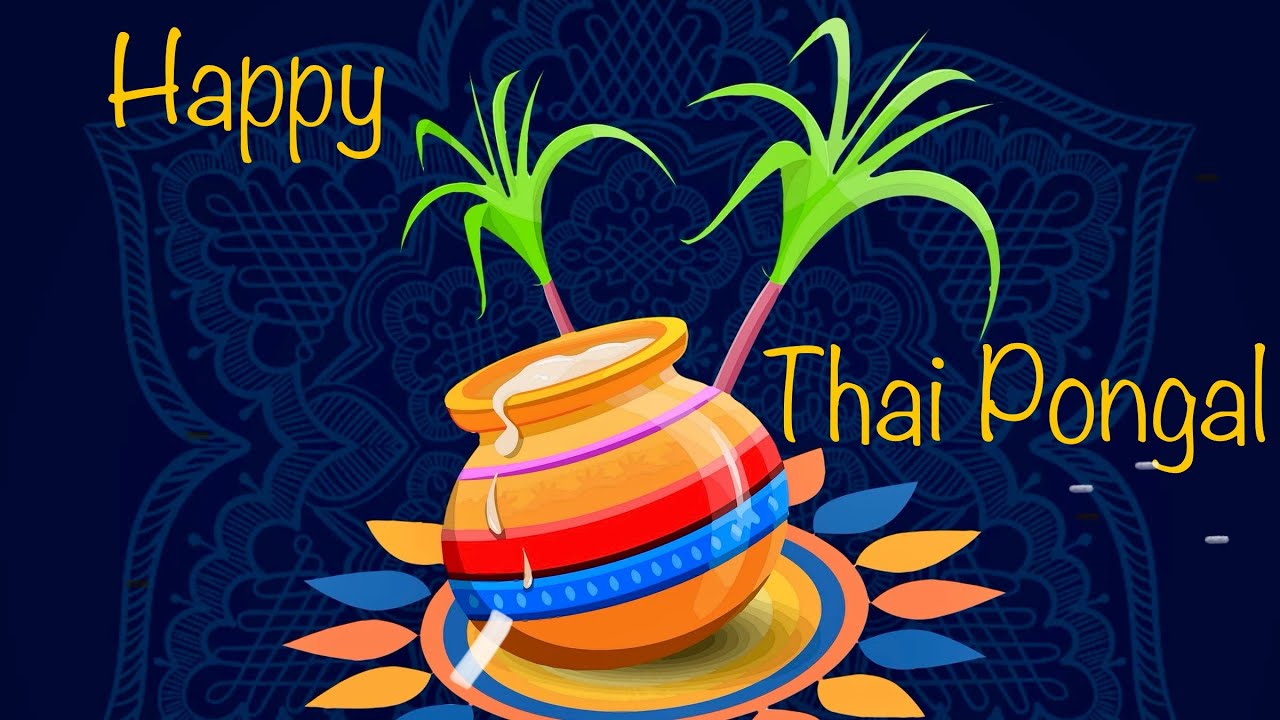 HAPPY THAI PONGAL GREETINGS VIDEO | THAI PONGAL WISHES - YouTube