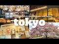 A Slow Day in Tokyo | Nakameguro & Daikanyama walk : Cafes, Art, & Sakura | JAPAN TRAVEL VLOG