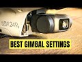 MAVIC MINI BEST GIMBAL SETTINGS for CINEMATIC FOOTAGE