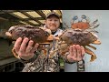 Top 10 Oregon Coast Crabbing Tips