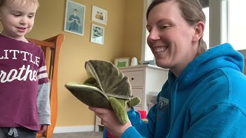 Tucker the Turtle Song