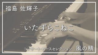 福島佐輝子/いたずらこねこ《風の精》（Sakiko Fukushima/"Mischievous Kitten"《Sylphid》）｜Ayato Sunabe