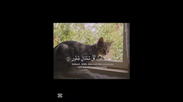إستخدم الصوت🌹#قرآن#ياسر_الدوسري#تلاوة_خاشعة😌