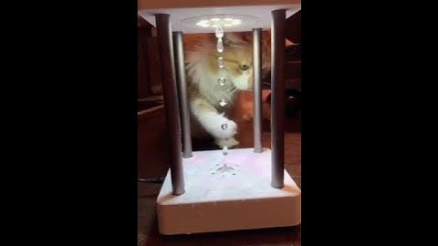 The Video Shows The Stroboscopic Effect. | Interesting Facts #Shorts #topchannel