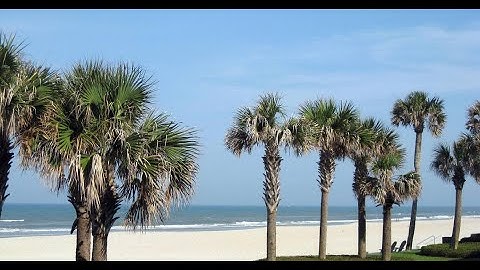 5 - Beautiful Music from JCR - Summer 2022