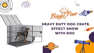 XPET686 The BEST Heavy Duty Dog Cage || Show Video