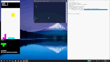 CS 246 Waterloo Quadris Project