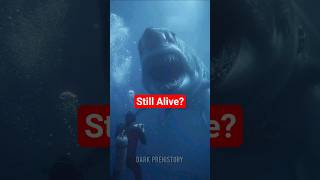 What If Megalodon Was Still Alive?