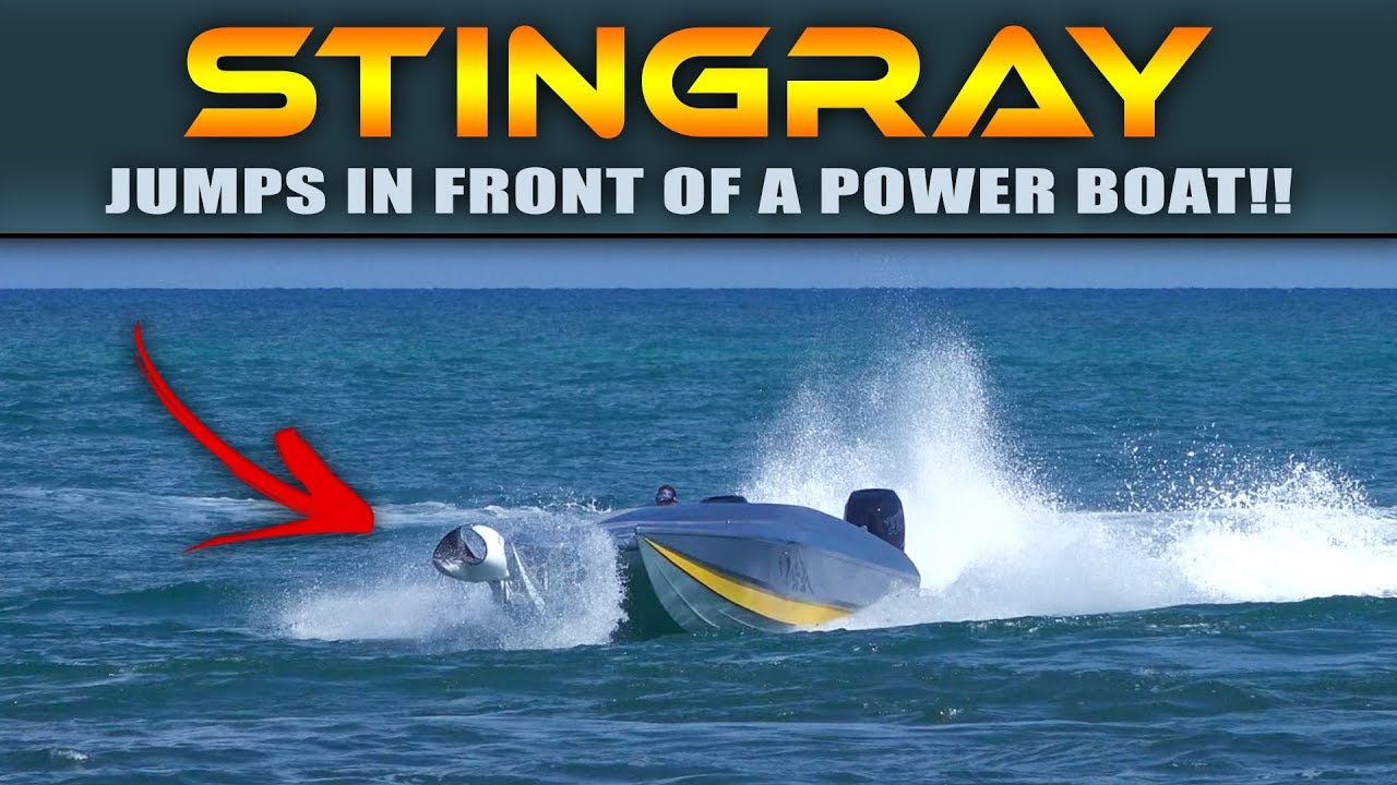 STINGRAY jumps in front of a Power Boat! | Haulover Inlet