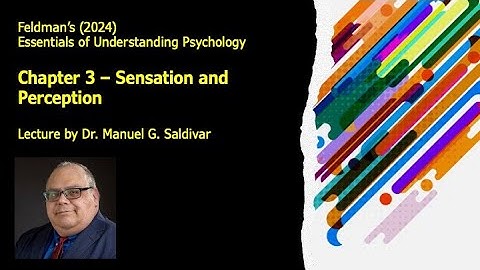 Feldman Ch 3 - Sensation & Perception [] Saldivar [] UTRGV