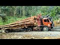 Logging mercy 3836