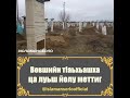 Вовшийн тIаьхьашха ца луьш йолу меттиг