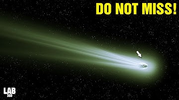 LOOK UP! Comet Nishimura To Take The Night Sky All Over The The World