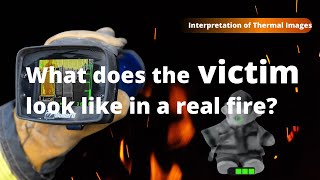 Interpretation of Thermal Images⎜Identifying the victim