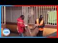 Simanzi Baada Ya Mama Kudaiwa Kuwaua Watoto Wake Wawili Zambezi 