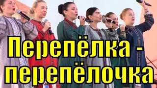 Песня Перепёлка Перепёлочка Ансамбль Казачьей Песни Любо Народные