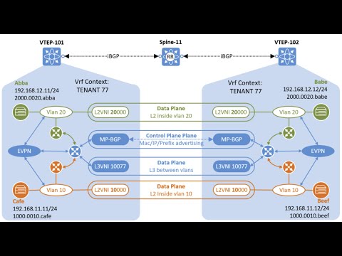 EVPN Deep Dive - All EVPN Route Types explained by Orhan Ergun and Toni Pasanen