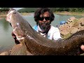 AN UNEXPECTED CATCH,big snake head catch,murral catch,rohu fishing,मरळ,मरल,रोहू