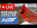 Snowy 11524 live bird feeder cam nashville tn