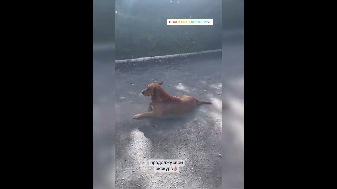 peace park Парк мира 