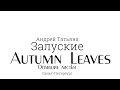 Опавшие листья Autumn Leaves