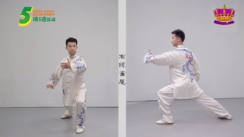 世界太極拳冠軍 易鵬 ~ 42式太極拳 正面側面教學演示（配宇幕） Yang style 42 form Tai Chi tutorial