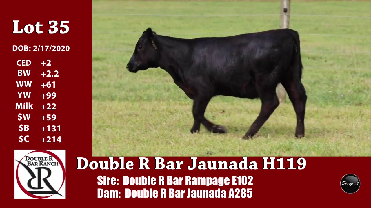 Double R Bar Lot 35 YouTube