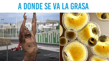 ¿La sudoración quema grasa abdominal?