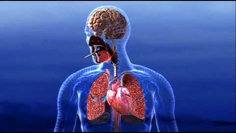 Smoking and your Brain - 3D Medical Animation || ABP ©