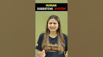 💥 Digestive System Important MCQ | Class 10 Biology | Life Processes