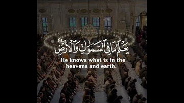 قل كفى بالله بيني وبينكم شهيدا يعلم ما في السماوات والأرض - سورة العنكبوت🎤🥀💝 #القران_الكريم #فلسطين