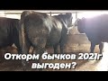 Откорм быков 2021г выгоден? цена на кормовые 2021г