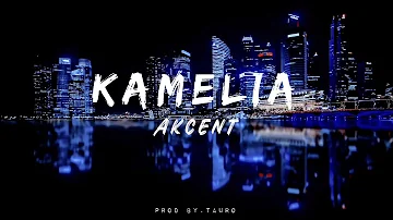 Akcent feat Lidia Buble & DDY Nunes - Kamelia🎧(lyrics) #trending