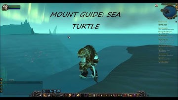 Sea Turtle Mount Guide