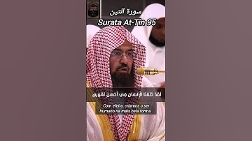 سورة التين Surata At-Tin 95