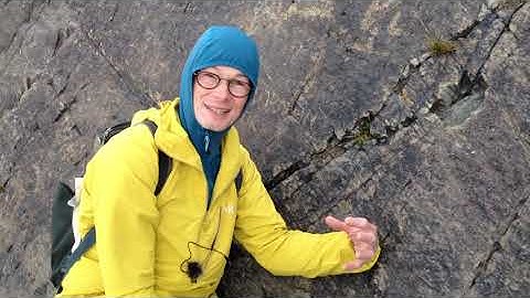 First known Precambrian fossils in the world.