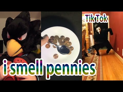 i-smell-pennies-tik-tok-memes-compilation(lastest-&featured&-funny)《tkmemes》
