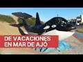Visitamos Mar de Ajó | Provincia de Buenos Aires | Argentina