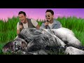 Alang - Alang by Vince Chong &amp; Izzue Islam