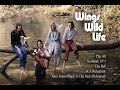 Paul McCartney and Wings Wild Life Bonus DVD 2018