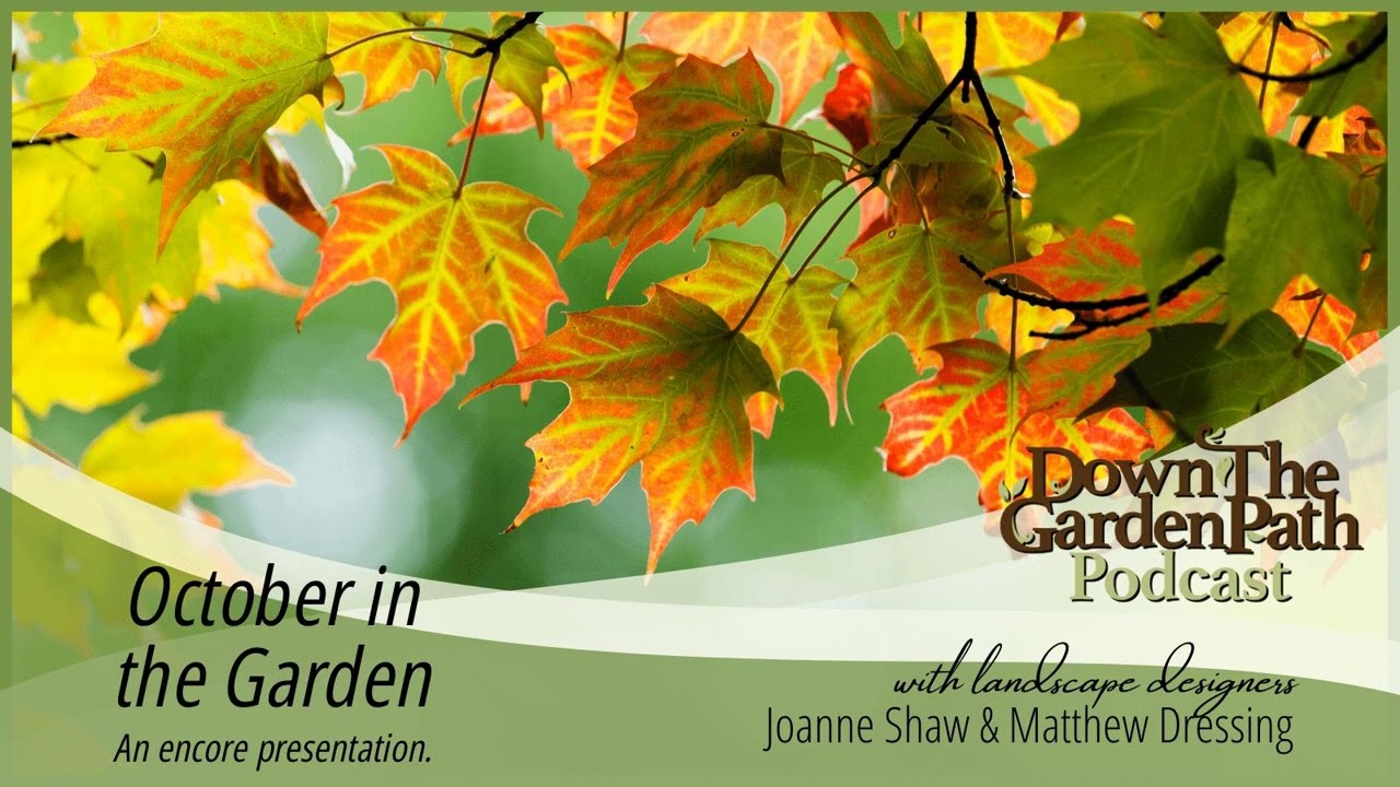 October in the Garden