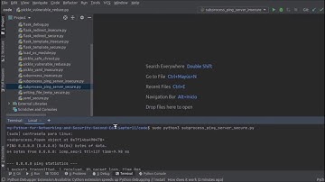 11. Security and Vulnerabilities in Python Modules