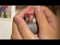 嬉しくてギチギチ音が止まらなくなった文鳥 あずき java sparrow